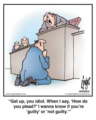 Get up, you idiot. When I say, ‘How do you plead?’ I wanna know if you’re ‘guilty’ or ‘not guilty.’