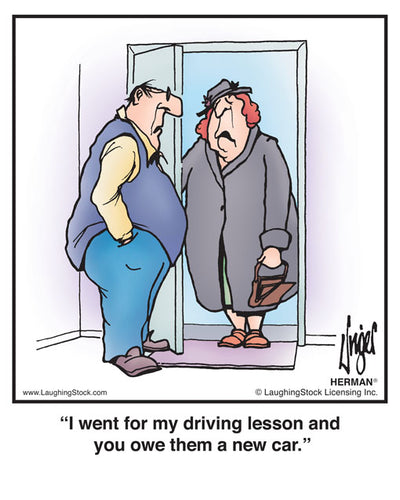 I went for my driving lesson and you owe them a new car.