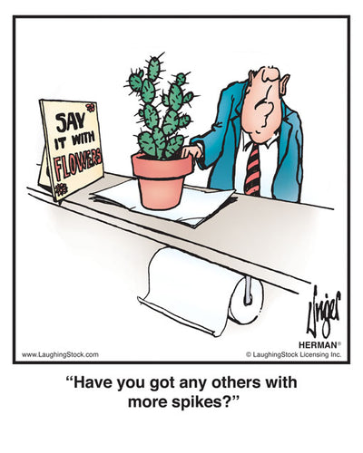 Have you got any others with more spikes?