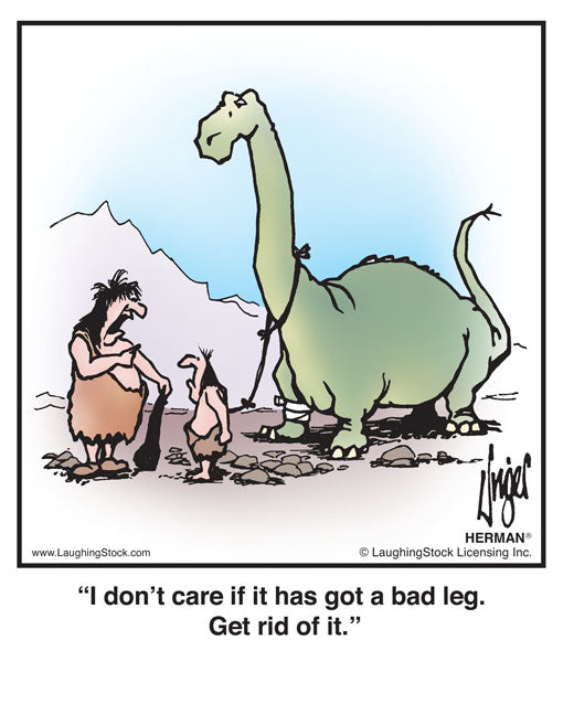 I don’t care if it has got a bad leg. Get rid of it.