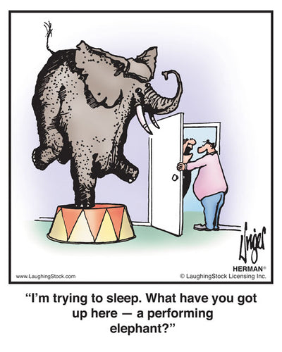 I’m trying to sleep. What have you got up here — a performing elephant?