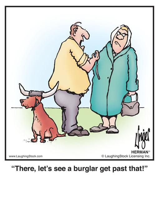 There, let’s see a burglar get past that!