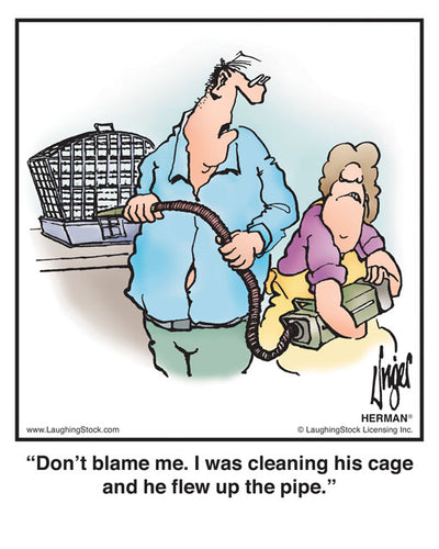 Don’t blame me. I was cleaning his cage and he flew up the pipe.