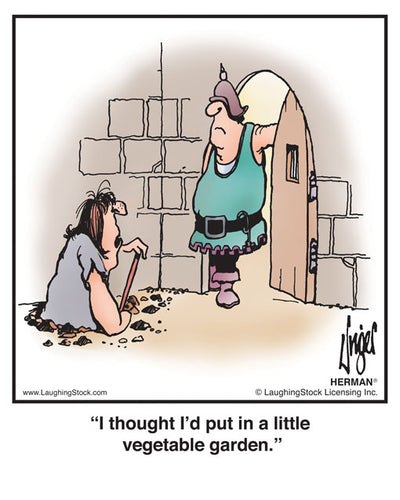 I thought I’d put in a little vegetable garden.