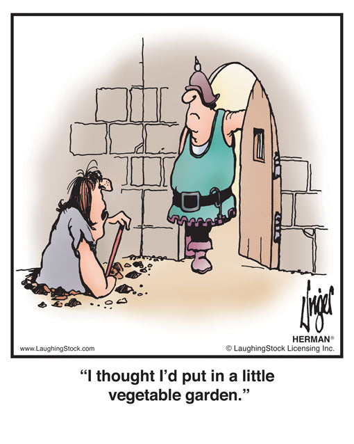 I thought I’d put in a little vegetable garden.