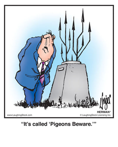 It’s called ‘Pigeons Beware.’