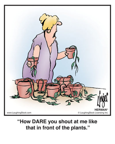 How DARE you shout at me like that in front of the plants.