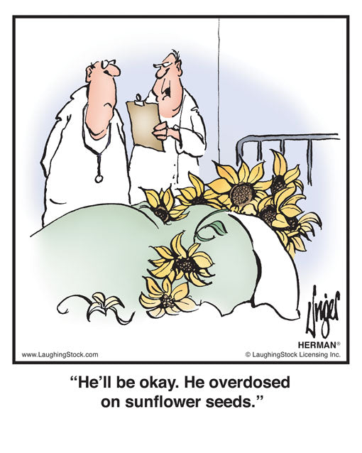 He’ll be okay. He overdosed on sunflower seeds.