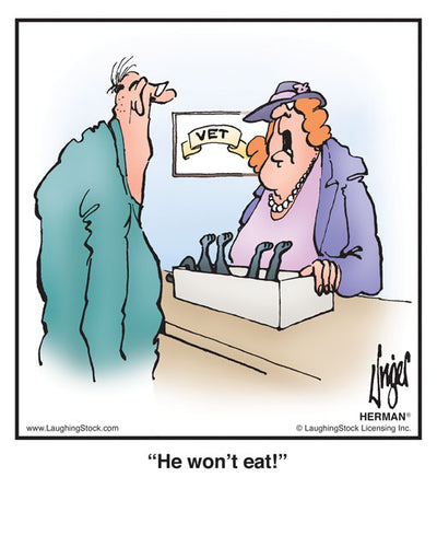He won’t eat!