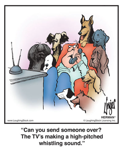 Can you send someone over? The TV’s making a high-pitched whistling sound.