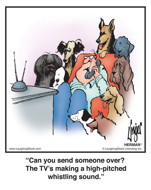 Can you send someone over? The TV’s making a high-pitched whistling sound.