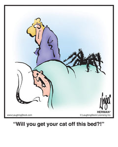 Will you get your cat off this bed!