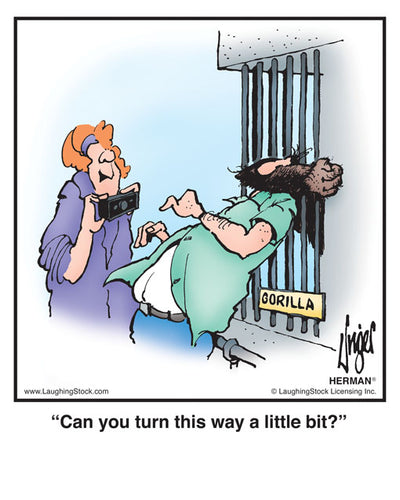 Can you turn this way a little bit?