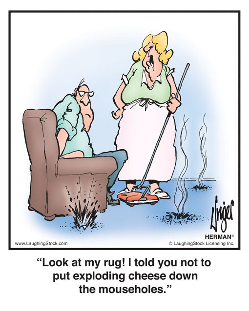 Look at my rug! I told you not to put exploding cheese down the mouseholes.