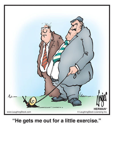 He gets me out for a little exercise.
