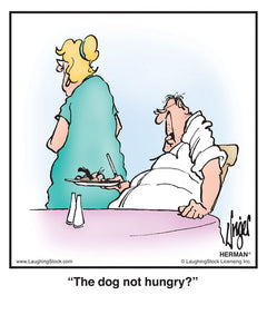 The dog not hungry?
