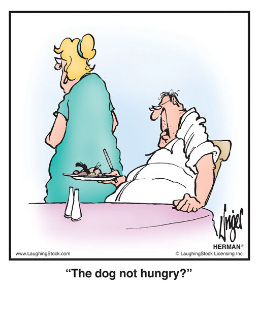 The dog not hungry?