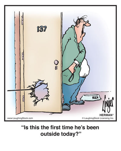 Is this the first time he’s been outside today?