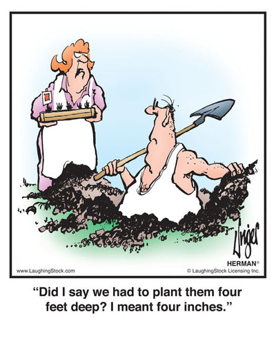 Did I say we had to plant them four feet deep? I meant four inches.