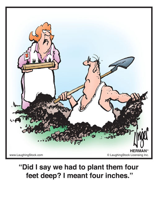 Did I say we had to plant them four feet deep? I meant four inches.