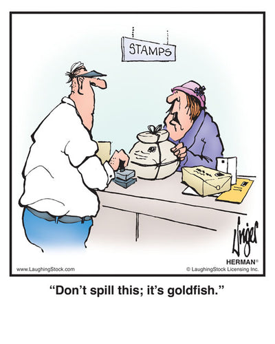 Don’t spill this; it’s goldfish.