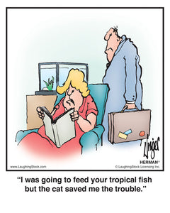 I was going to feed your tropical fish but the cat saved me the trouble.