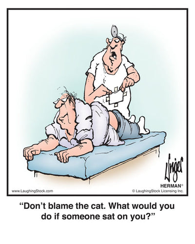 Don’t blame the cat. What would you do if someone sat on you?