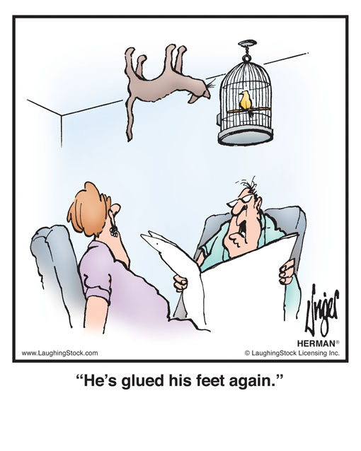 He’s glued his feet again.