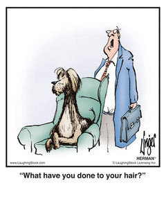 What have you done to your hair?