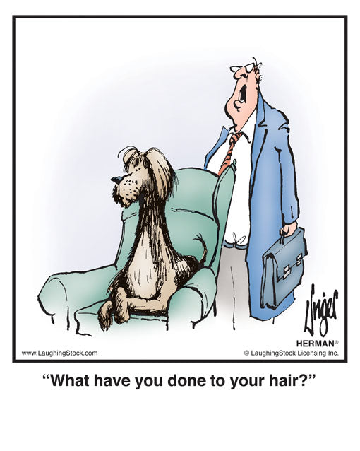 What have you done to your hair?