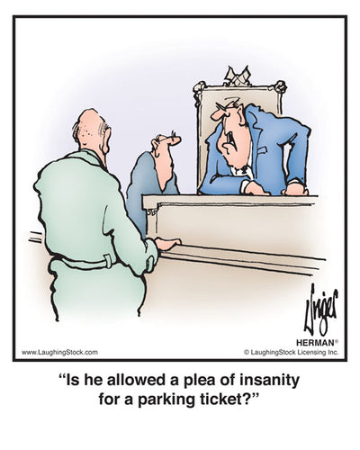 Is he allowed a plea of insanity for a parking ticket?