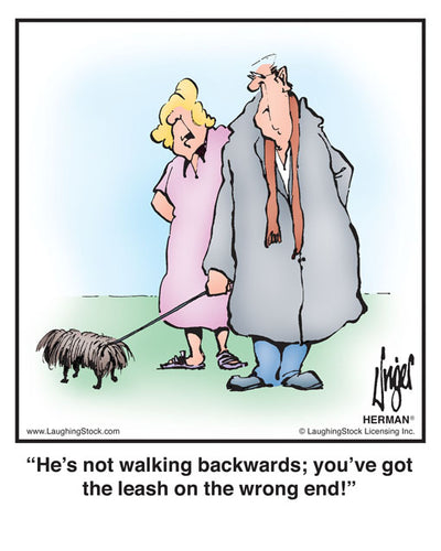 He’s not walking backwards; you’ve got the leash on the wrong end!