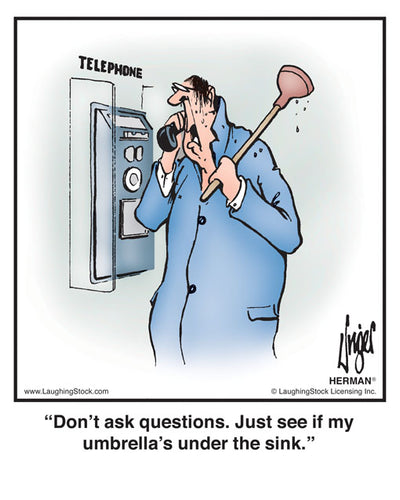 Don’t ask questions. Just see if my umbrella’s under the sink.