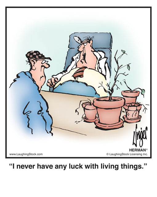 I never have any luck with living things.