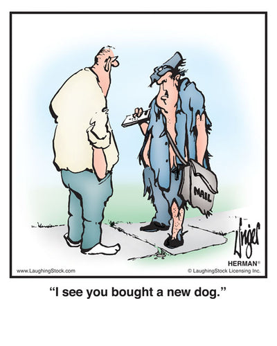 I see you bought a new dog.