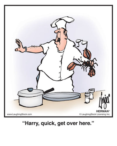 Harry, quick, get over here.