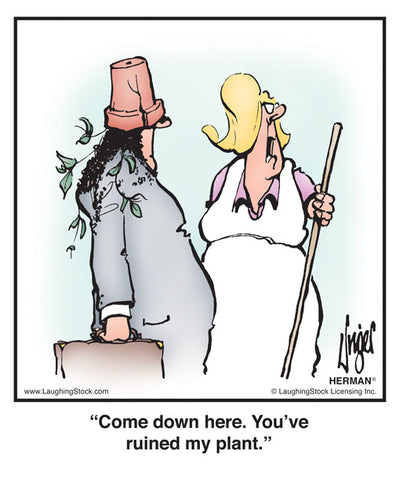 Come down here. You’ve ruined my plant.