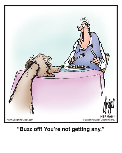 Buzz off! You’re not getting any.