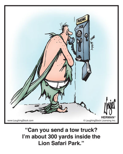 Can you send a tow truck? I’m about 300 yards inside the Lion Safari Park.