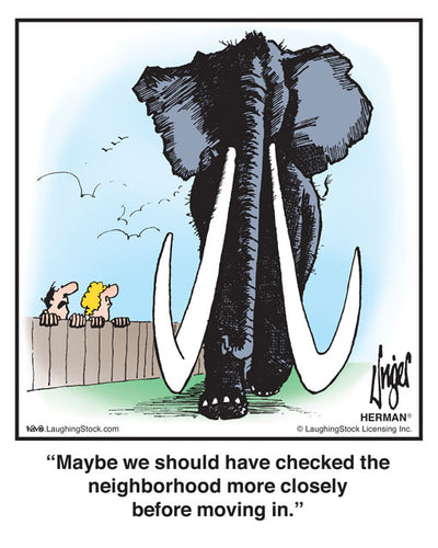 Maybe we should have checked the neighborhood more closely before moving in!