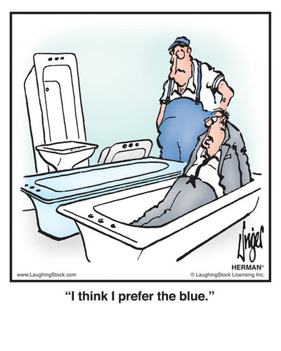 I think I prefer the blue.