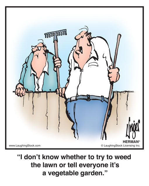 I don’t know whether to try to weed the lawn or tell everyone it’s a vegetable garden.