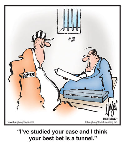 I’ve studied your case and I think your best bet is a tunnel!