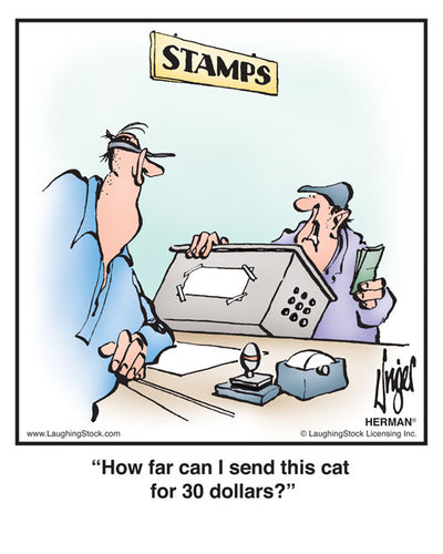 How far can I send this cat for 30 dollars?