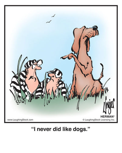 I never did like dogs.