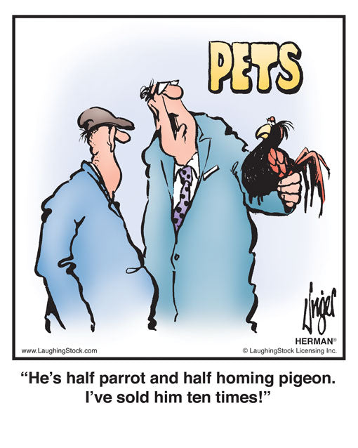 He’s half parrot and half homing pigeon. I’ve sold him ten times!