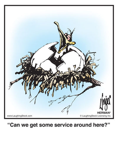 Can we get some service around here?