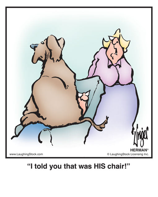 I told you that was HIS chair!