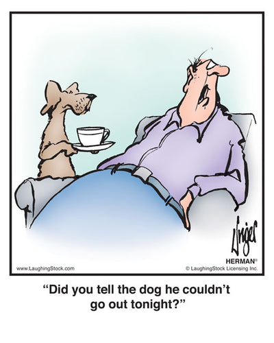 Did you tell the dog he couldn’t go out tonight?