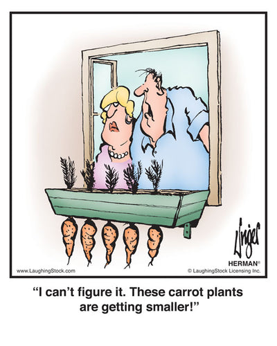 I can’t ﬁgure it. These carrot plants are getting smaller!
